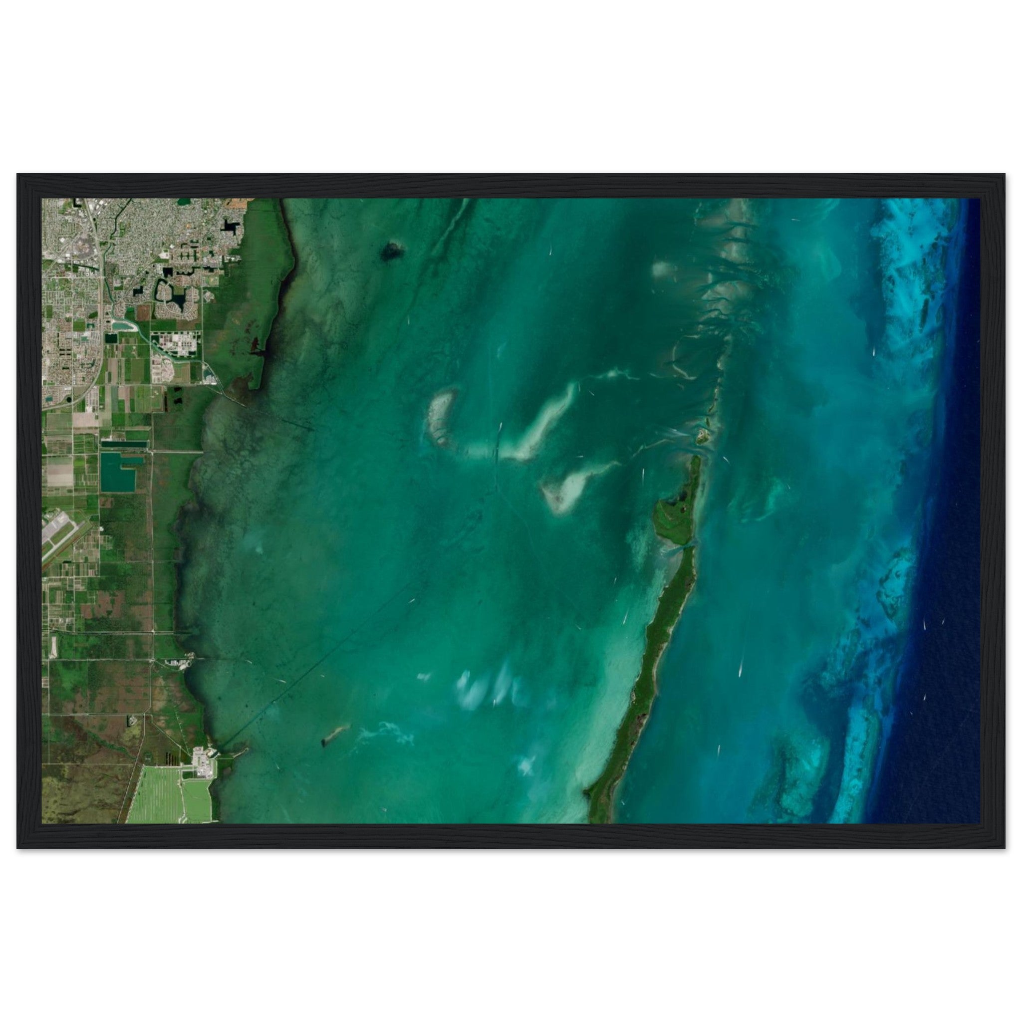 Biscayne National Park Natural Earth Print - Ink And Atlas