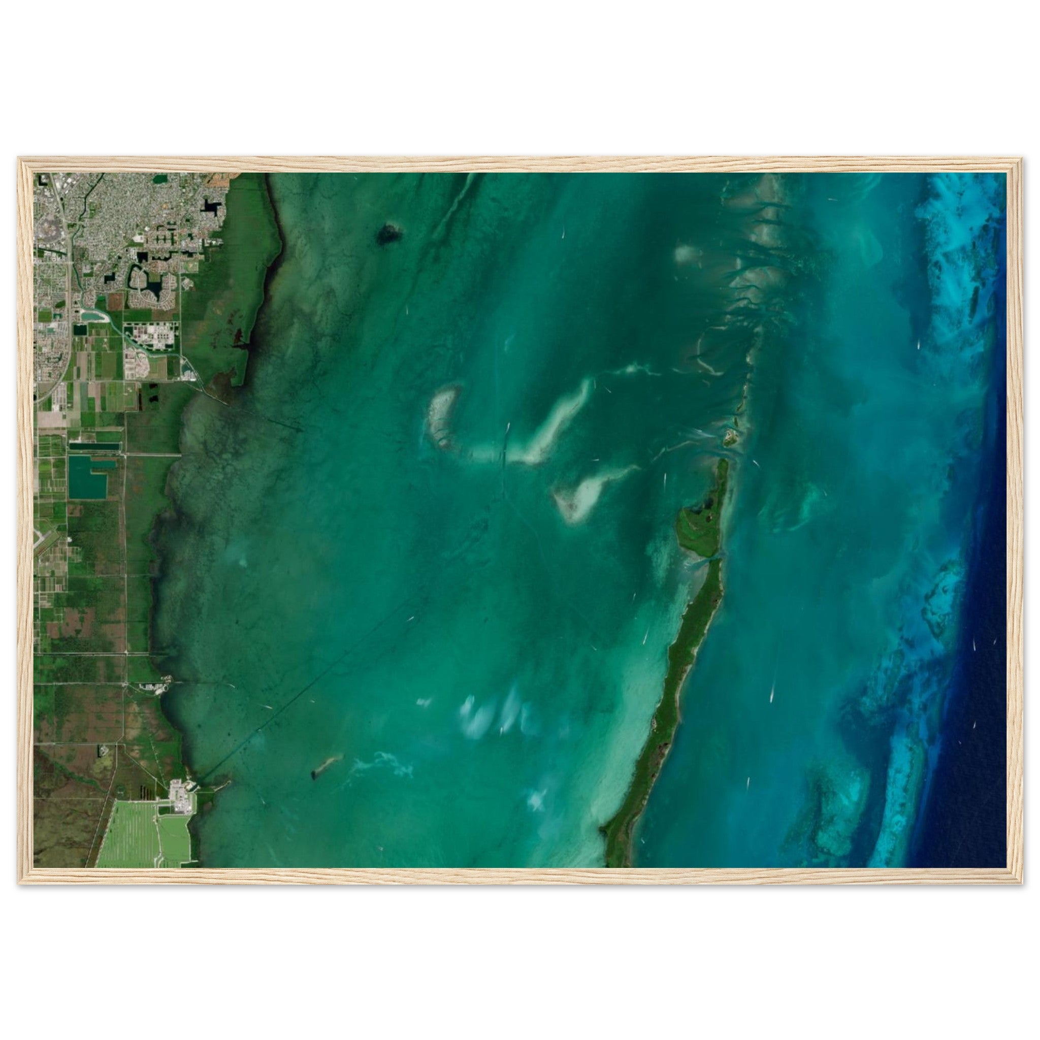 Biscayne National Park Natural Earth Print - Ink And Atlas