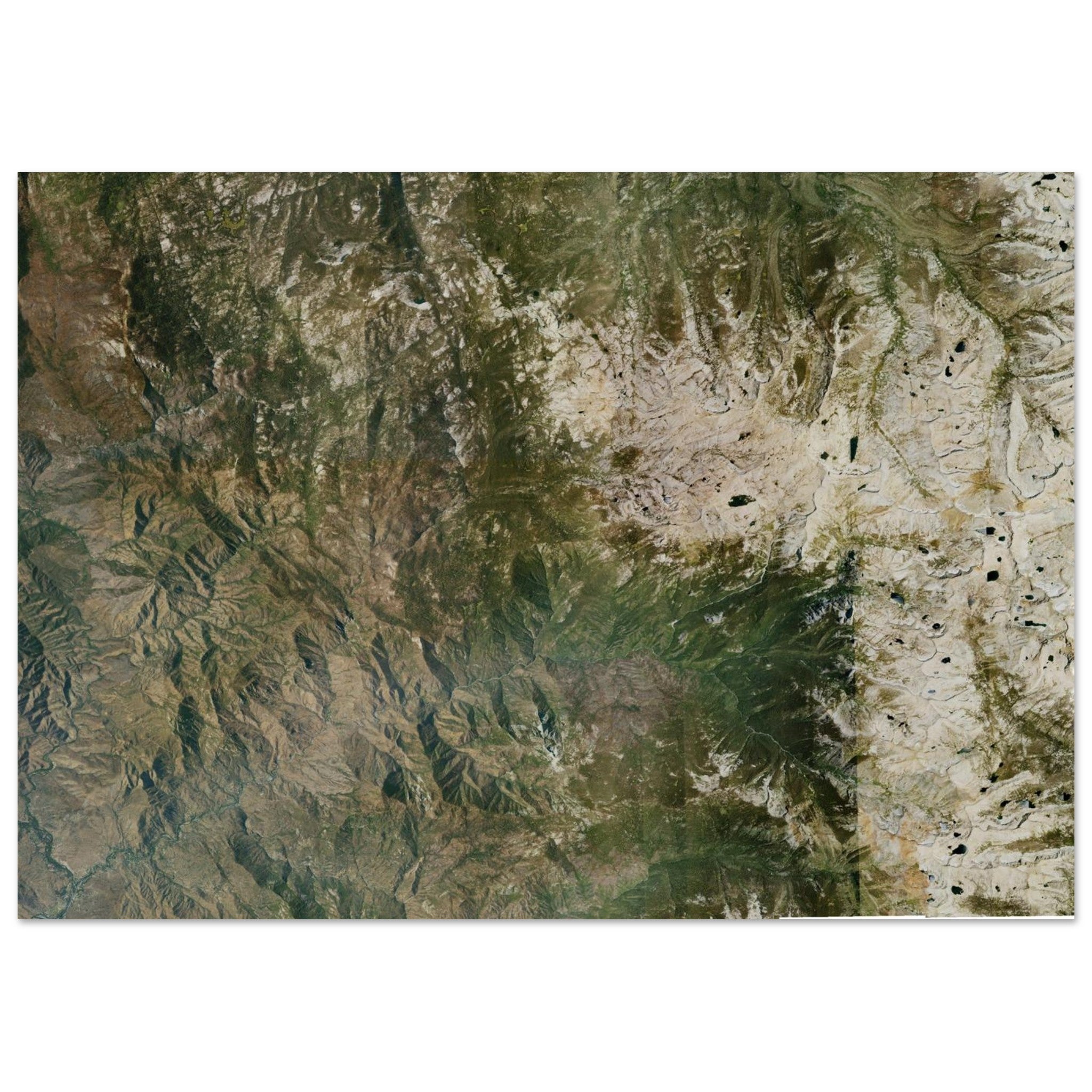 Sequoia National Park Natural Earth Print - Ink And Atlas