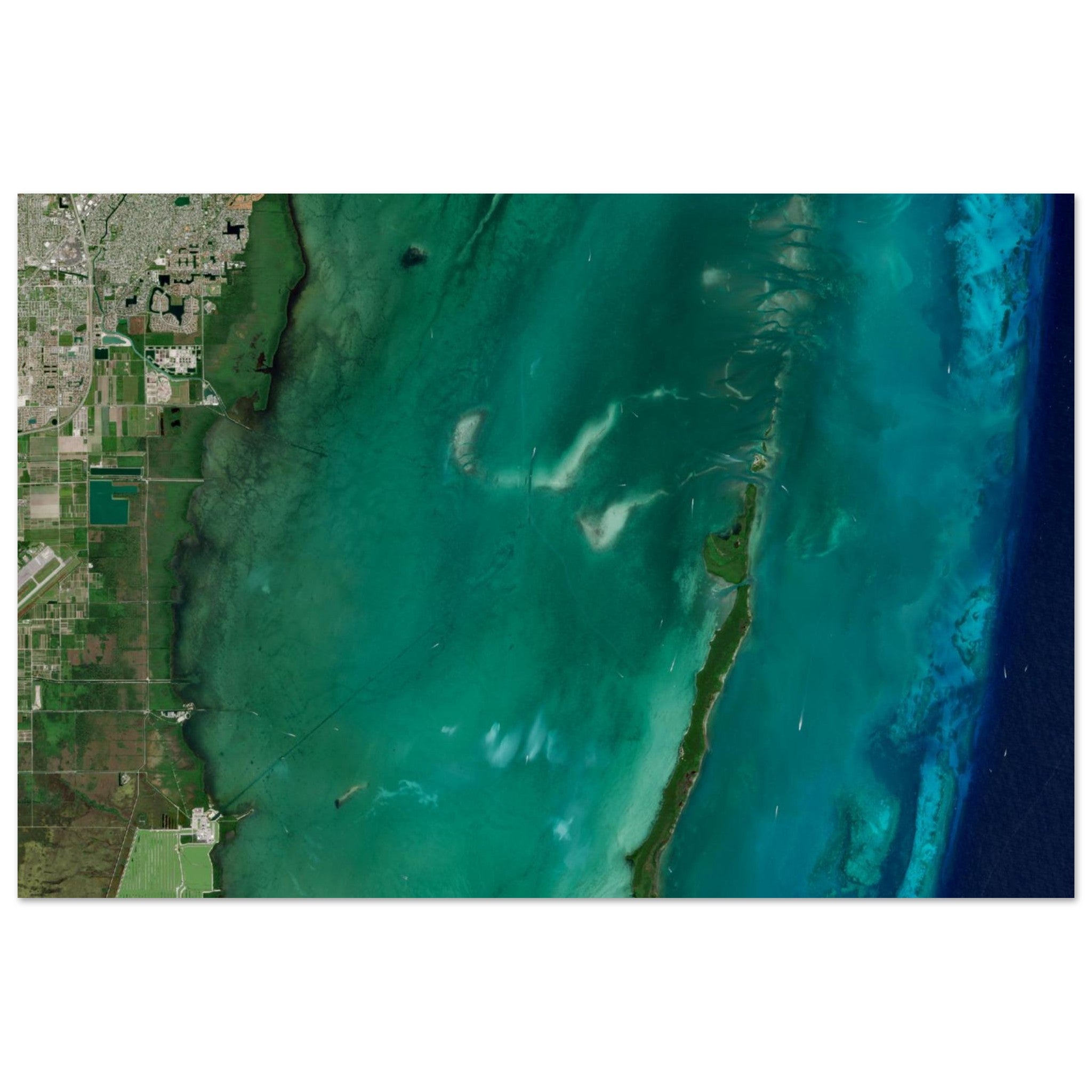 Biscayne National Park Natural Earth Print - Ink And Atlas