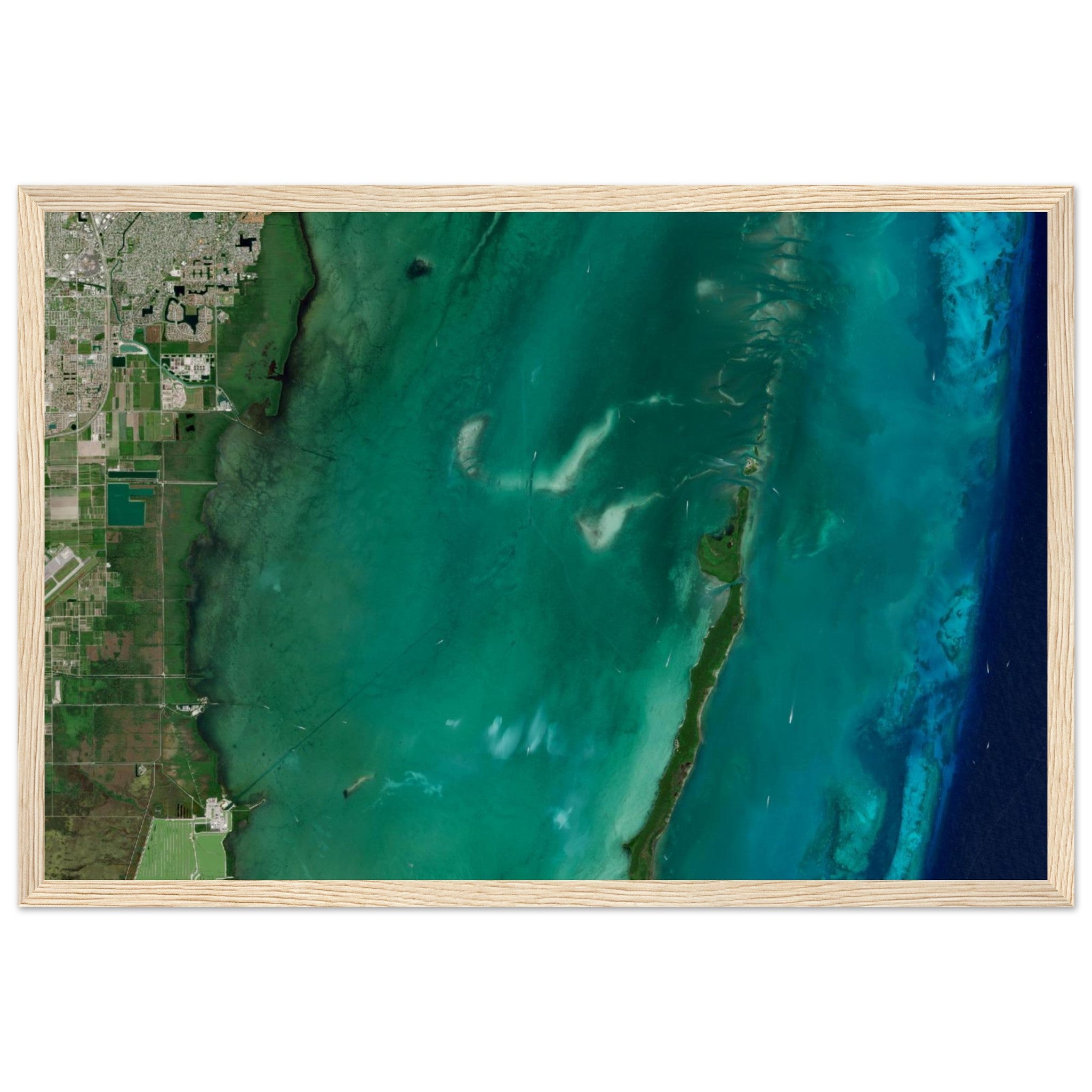 Biscayne National Park Natural Earth Print - Ink And Atlas