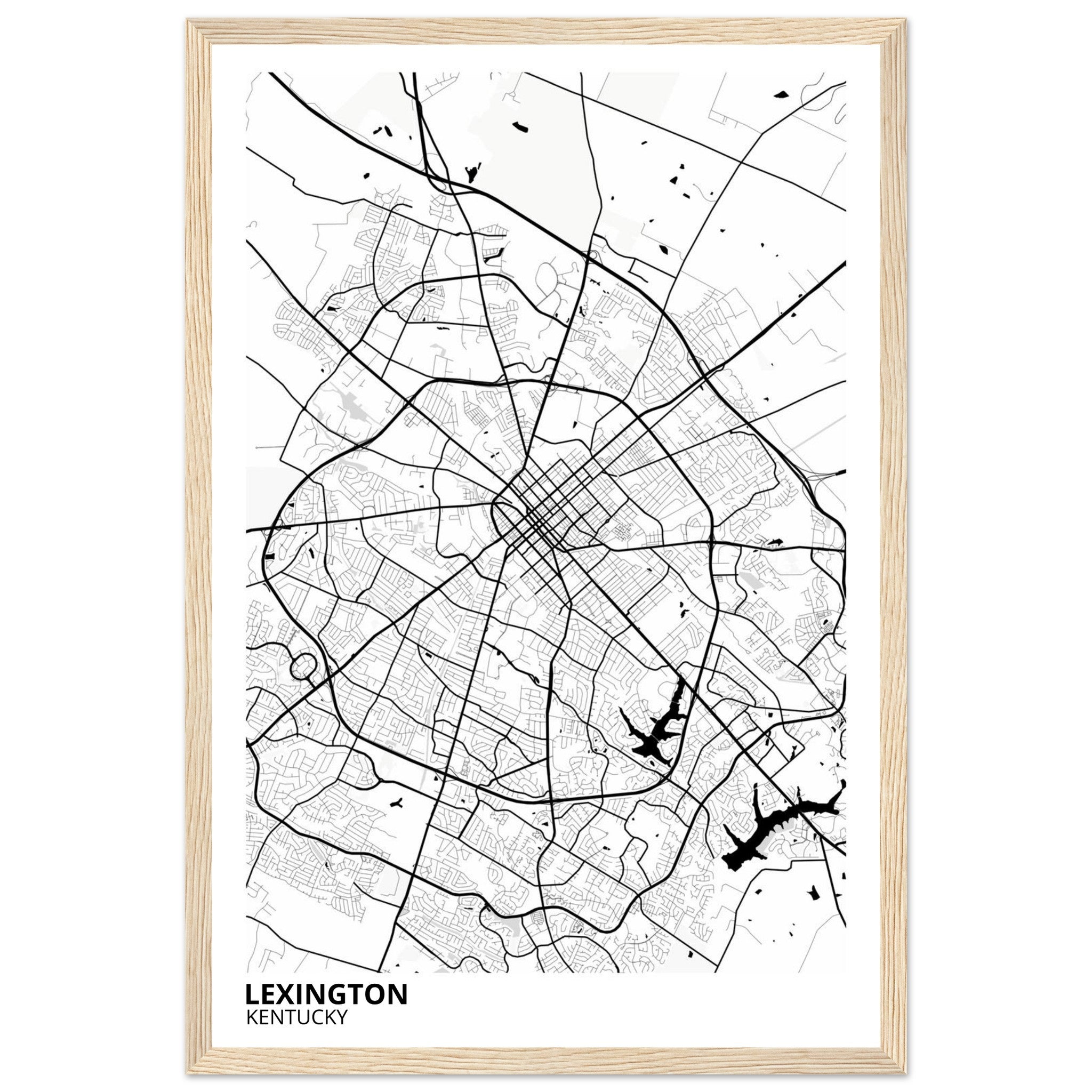 Lexington Kentucky City Map Poster | Custom Map Art Print - Ink And Atlas