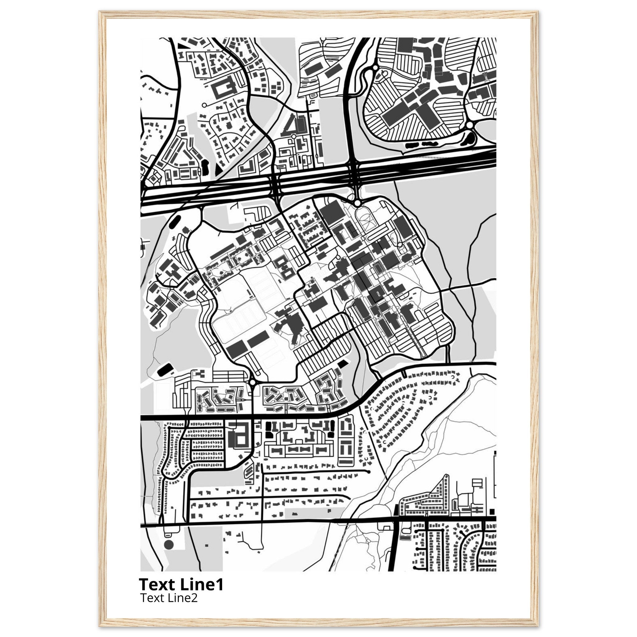 The University of Texas San Antonio Campus Map Poster | Alumni Gift - Ink And Atlas