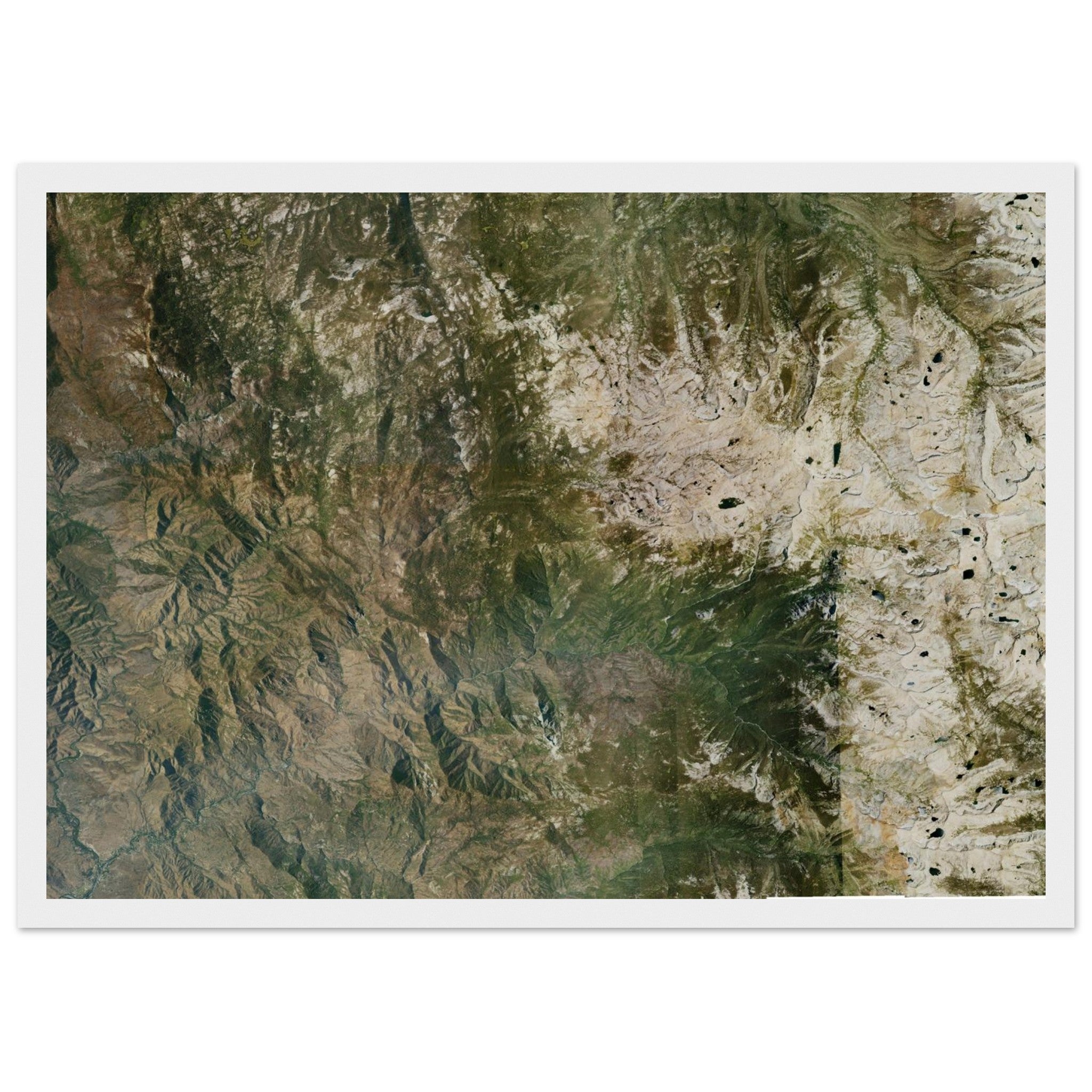 Sequoia National Park Natural Earth Print - Ink And Atlas