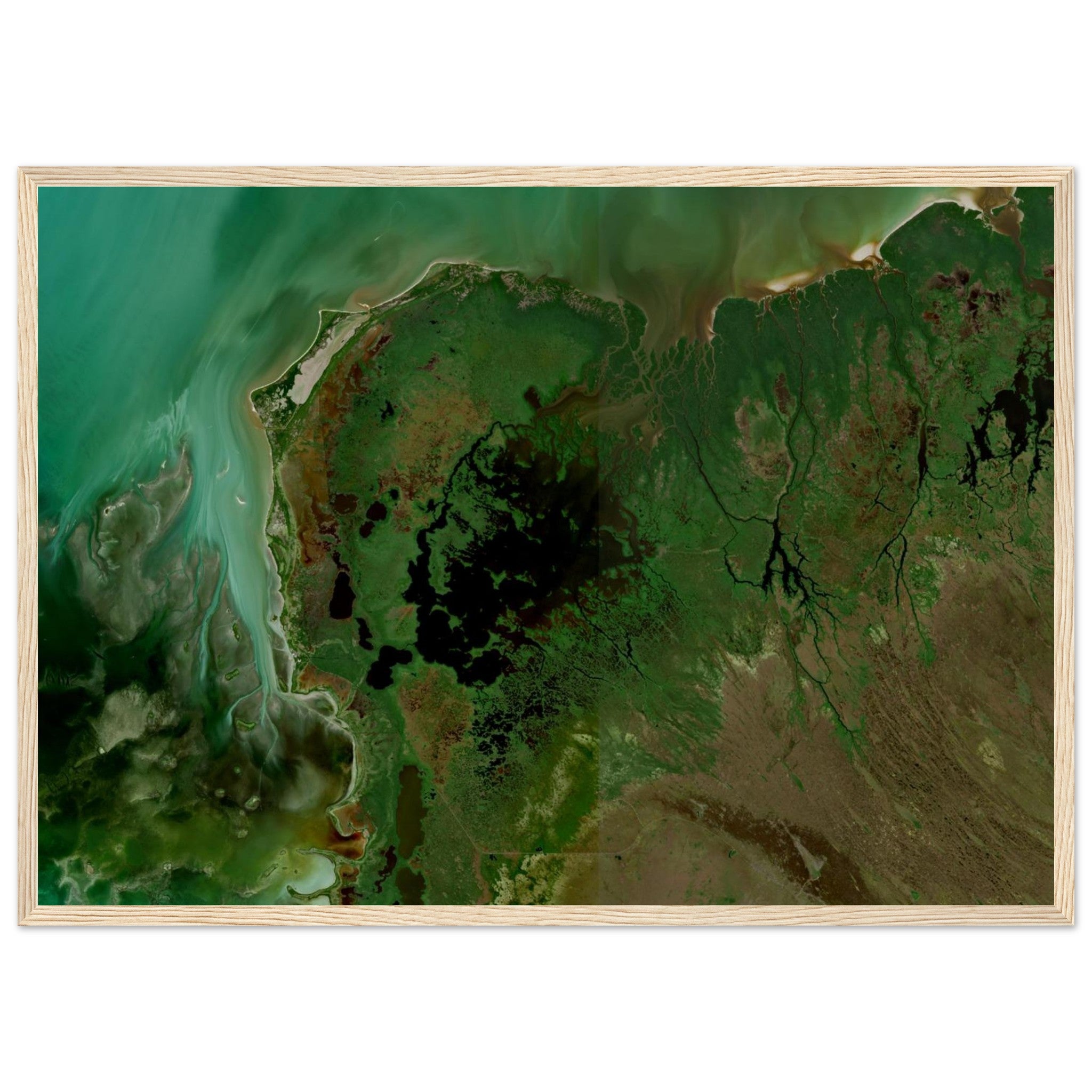 Everglades National Park Natural Earth Print - Ink And Atlas