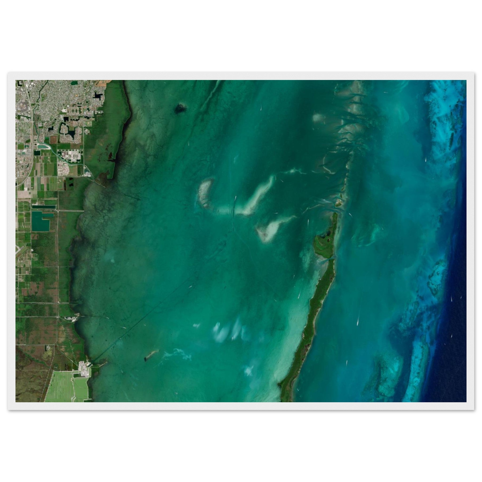 Biscayne National Park Natural Earth Print - Ink And Atlas